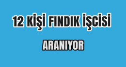 Fındık Toplayacak İşci Aranıyor