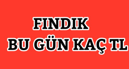 Fındık Bu Gün Kaç TL