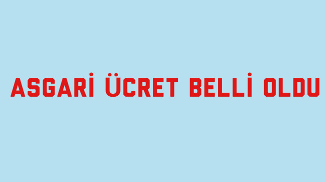 Asgari Ücret Belli Oldu