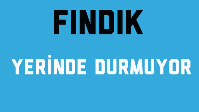 Fındık Yerinde Durmuyor