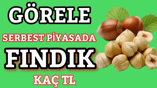 Görelede Bu gün Fındık Kaç TL